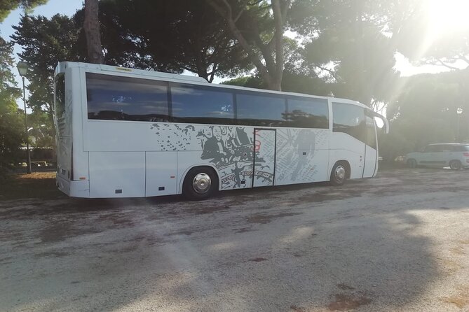 Private Bus From Chioggia Cruise Port to Venice, Piazzale Roma - Service Overview