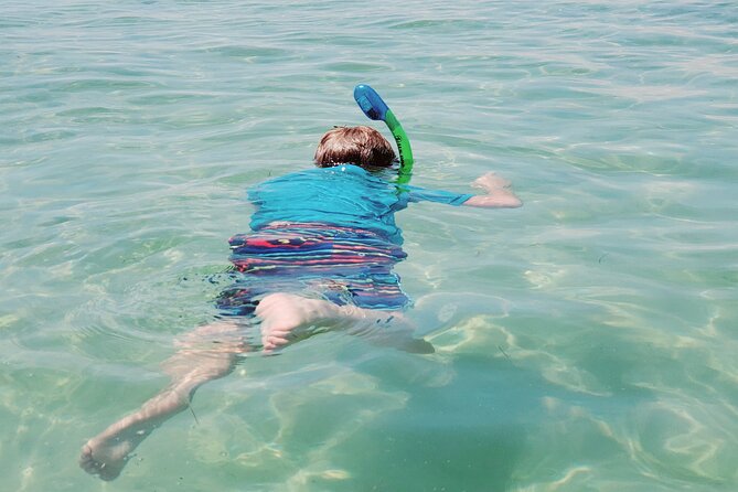 Private Catamaran: Snorkel, Swim and Dolphin Watching - Frequently Asked Questions
