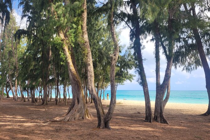 Private Hiking and Beaches Tour Review - Personalized Experience With a Local Guide