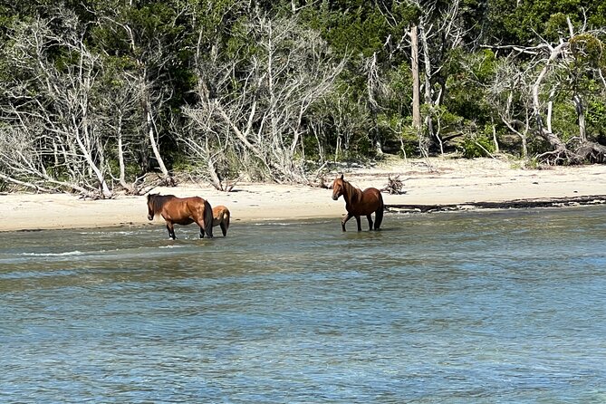 Private Island Eco Tours Review - Accessibility and Participant Information