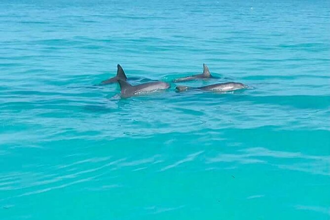 Private Key West National Wildlife Refuge Eco Trip - Recap