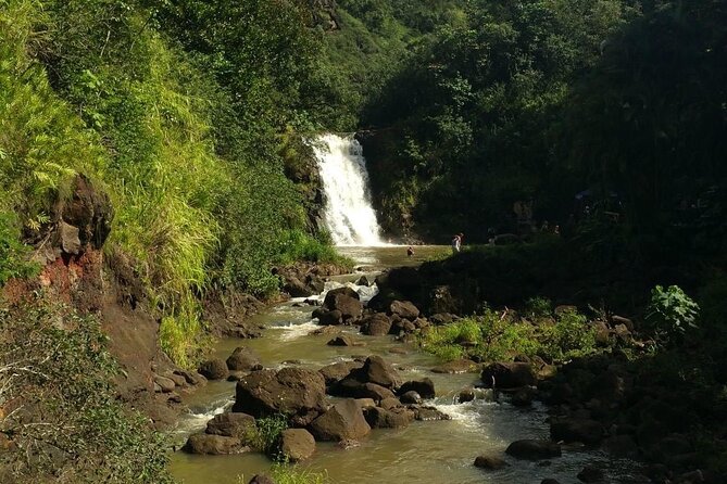 Private North Shore Waterfalls and Turtles Tour - Booking and Cancellation Policy