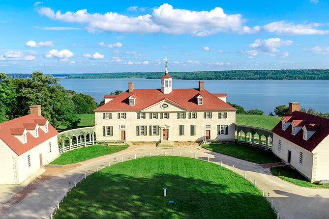 Private Walking-Guided Mount Vernon Tour Review - Review Analysis and Customer Feedback