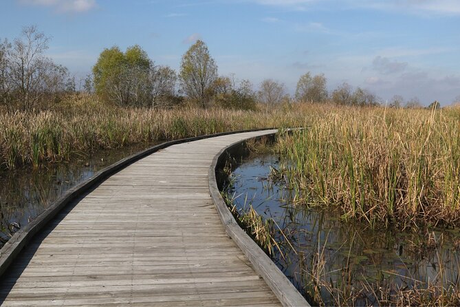 Self-Guided Audio Driving Tour in Creole Nature Trail - Highlights and Key Features