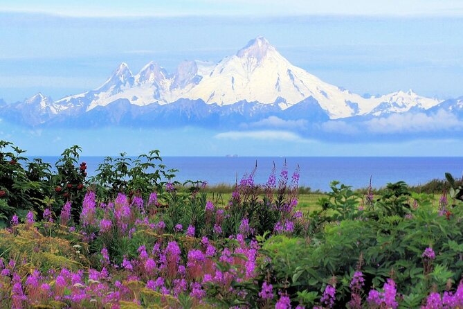 Seward Cruise Ship to Anchorage Transfer Review - Passenger Experience and Driver Interaction