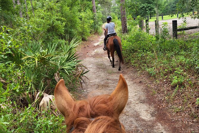 Shaded Trails Horse Ride - What to Expect During the Ride