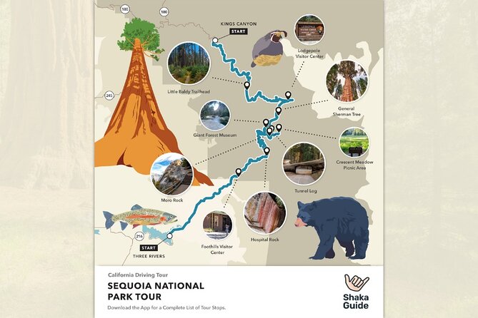 Shaka Guide: Sequoia National Park Audio Tour Guide - Traveler Feedback and Support
