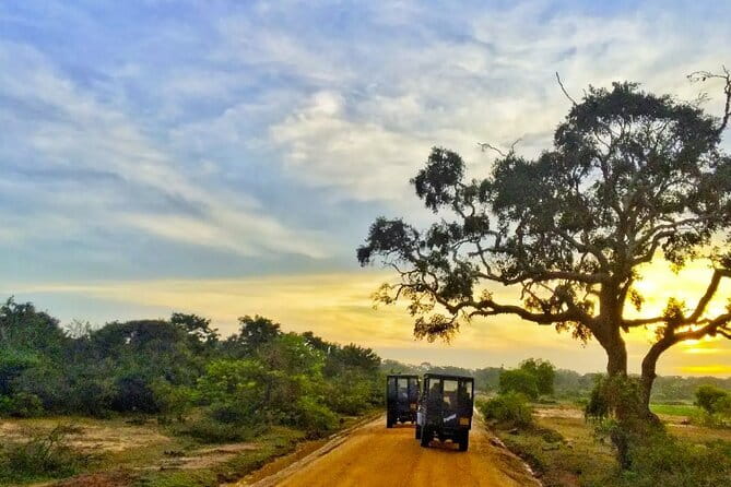 Sigiriya Lion Rock & Dambulla Tour Review - Dining Experience: Buffet Lunch Review