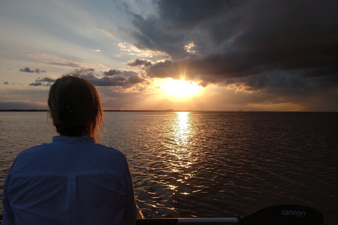 Single Kayak Rental Review: Manatees and Dolphins - Pricing and Value for Money