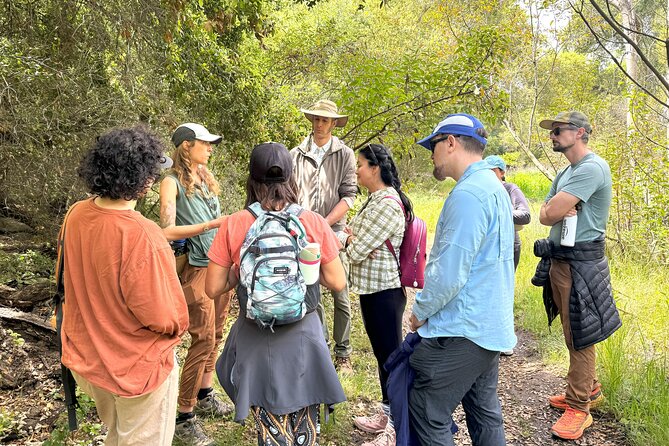 Small Group Hike Through San Diegos Heart and Soul - Memorable Moments on the Trail