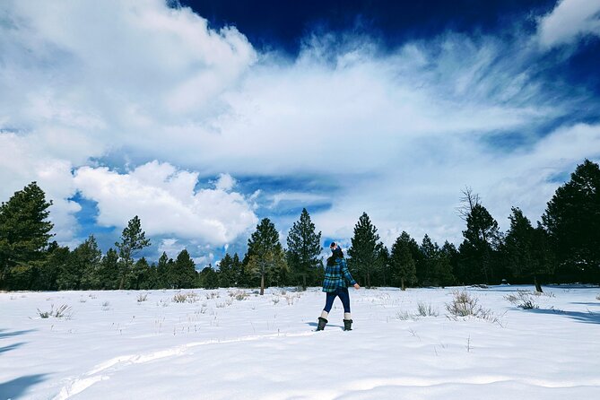 Snowshoe Tour Big Bear Lake Review - Review of On-Tour Experience