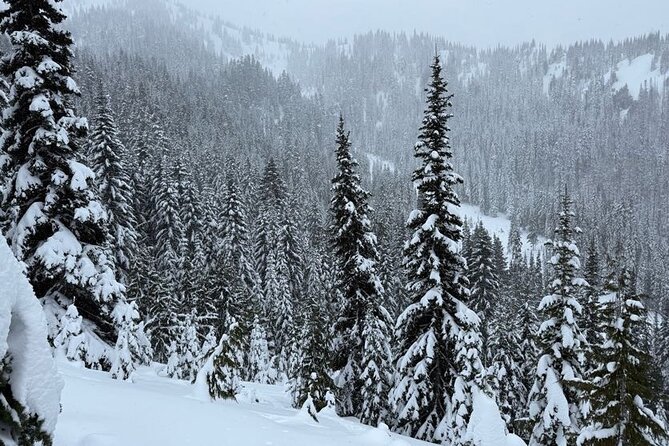 Snowshoeing at Crystal Mountain by Mount Rainier - Practical Information and Logistics