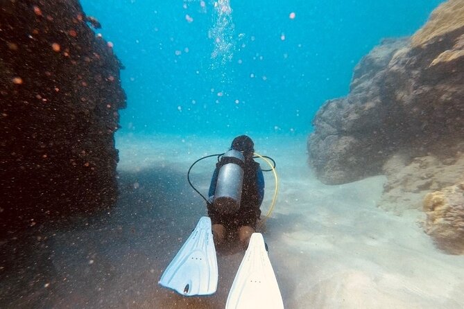 The Original Tiger Shark Challenge - Experience the Thrill