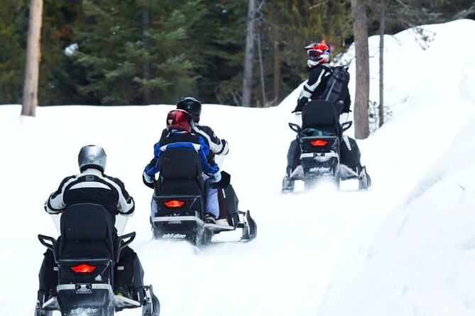 Turpin Meadow Ranch Snowmobiling Review - Highlights From Traveler Reviews