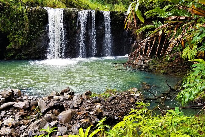 Viator Exclusive: Maui Tropical Rainforest Small Group Tour - Exploring Mauis Tropical Rainforest