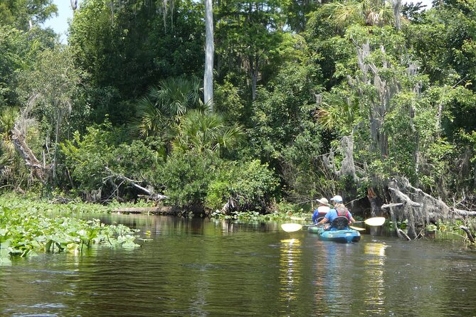 Wekiva River Kayak Tour Review - Kayaking Gear and Preparation Tips