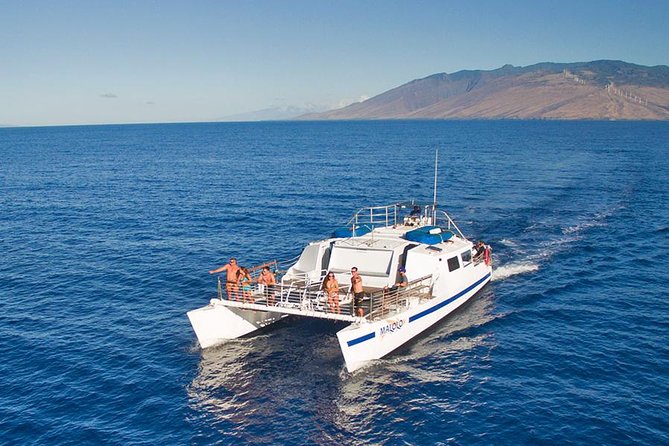 Whale Watch Cruise Aboard Malolo Review - Accessibility and Additional Information