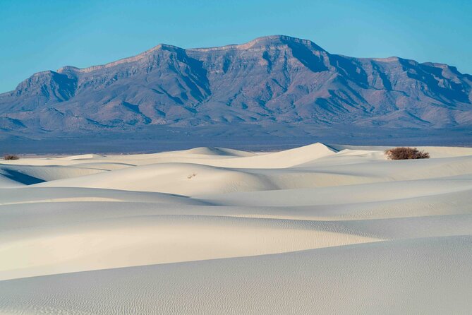 White Sands National Park Tour Review - User Reviews and Feedback