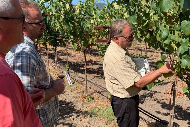 Wine Tour Pros - Napa Wine Tour: SUV Up To 6 Guests - Additional Amenities