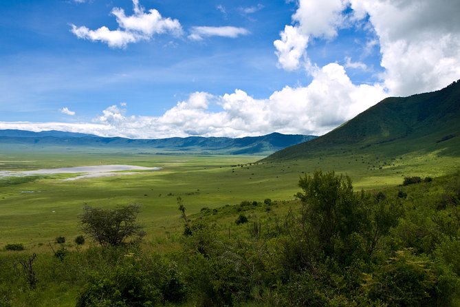 1 Day Joined Group Safari in Ngorongoro Crater National Park - Itinerary and Highlights