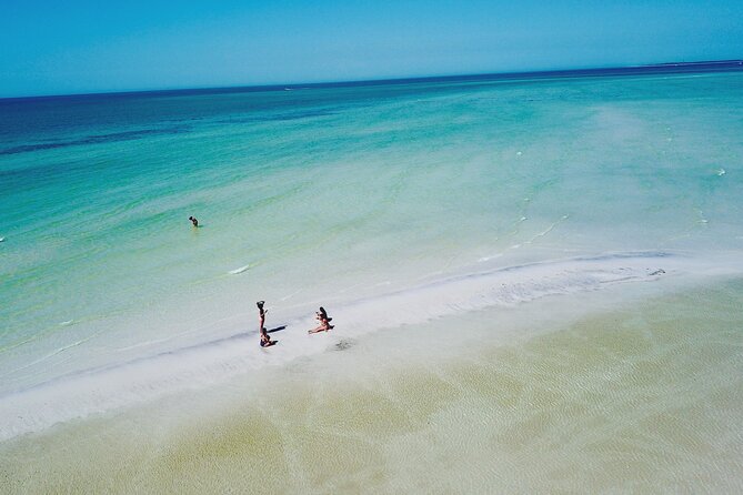 4 Hour Clearwater Beach Private Pontoon Boat Tour Review - Review and Rating Analysis