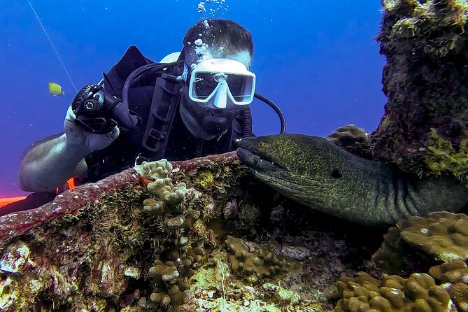 4 Hour Guided Scuba Diving Adventures Review - Customer Reviews and Feedback