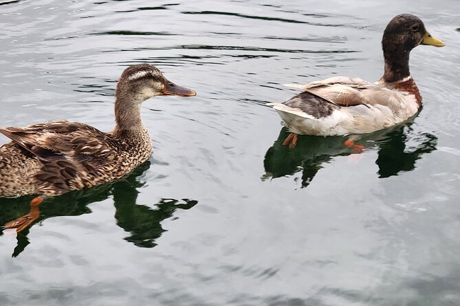 Afternoon Crystal River Ecological Boat Tour - Frequently Asked Questions