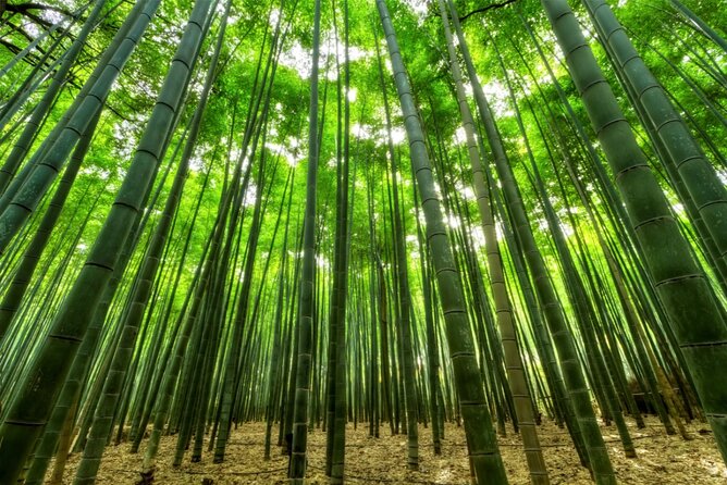 All Inclusive・Private Tour Kamakura Tour on a Luxury Car - What to Expect