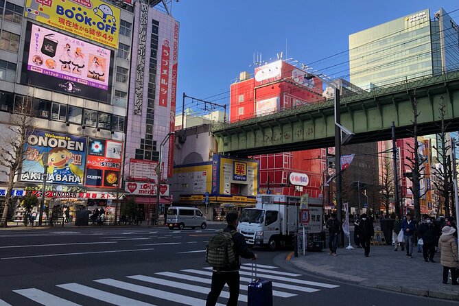 Amazing Tsukiji Fish Market and Akihabara Pop Culture of Tokyo　