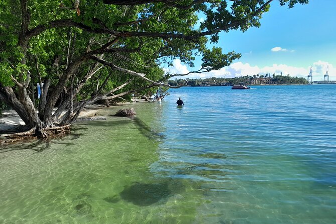 Bayside Market Place Snorkeling for Beginners - Frequently Asked Questions