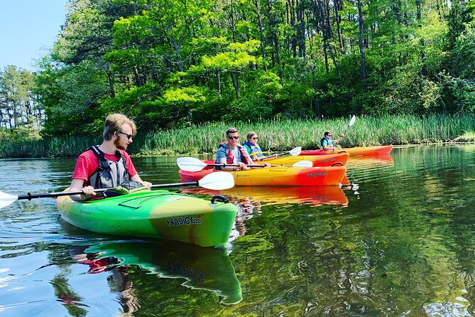 Cape Cod Kayak Rentals Review - Tips for First-Time Kayakers at Cape Cod