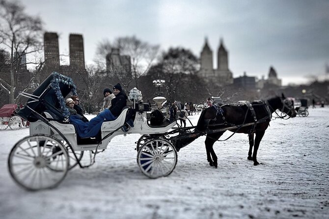 Central Park and NYC Horse Carriage Ride Review - Booking Process and Policies