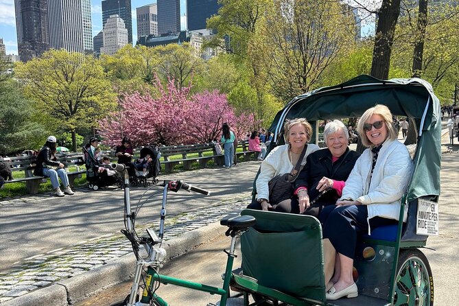 Central Park Movie Locations & Celebrity Homes Pedicab Tour - Considerations for Booking the Tour