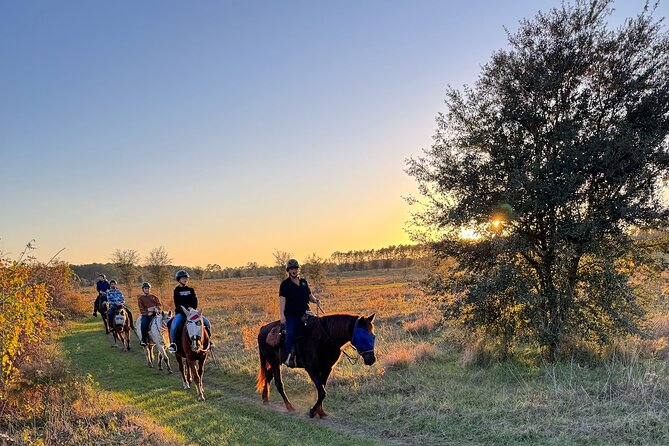 Champagne and Charcuterie Sunset Trail Ride Review - Pros and Cons of the Tour