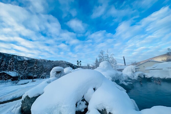Chena Hot Spring Day Tour - Planning Your Visit