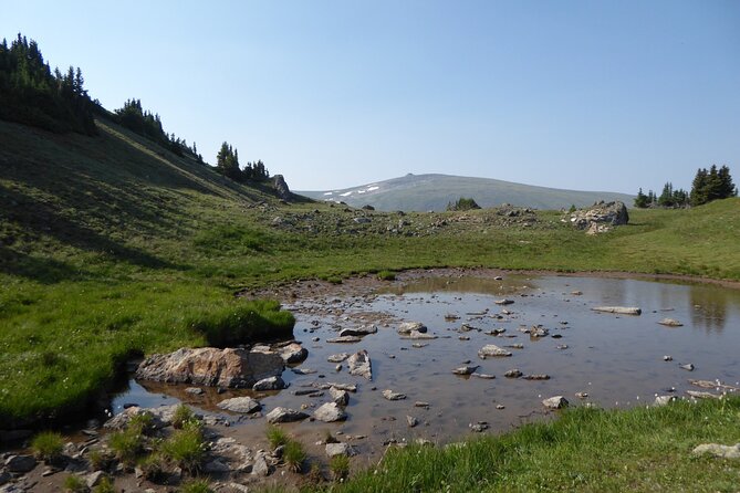 Denver, Rocky Mountains and Garden of the Gods Tour From Colorado - Booking and Pricing Information