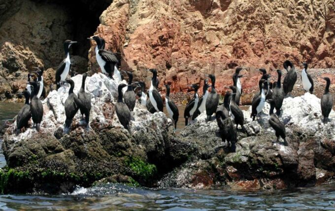 Discovering the Wonders of Peru in 9d/8n Trip |Hotel★★★| - Rainbow Mountain Hike