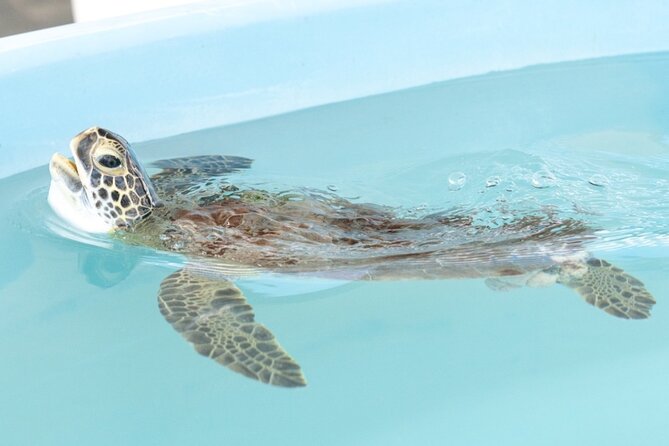 Explore Wildlife Sanctuaries on the WILD Palm Beaches Tour - Recap