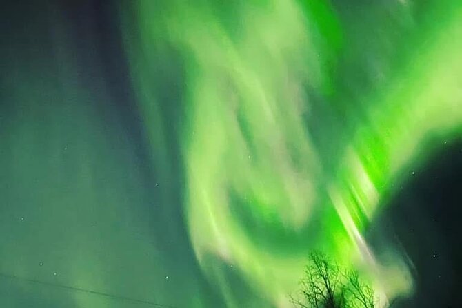 Full Alaskan Experience - Frequently Asked Questions