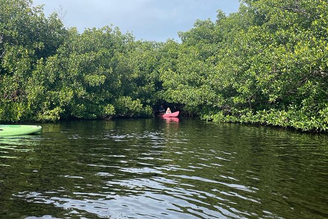 Full Day Everglades Combo Motorboat Eco and Kayak Tour - Frequently Asked Questions