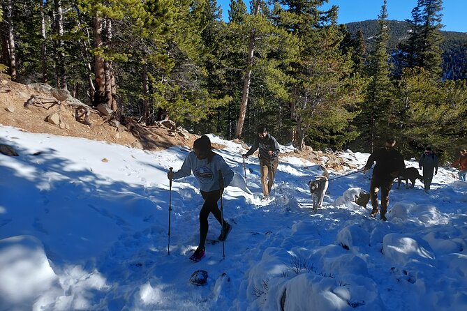 Guided Hike in Rockies Review - Feedback and Ratings From Previous Hikers