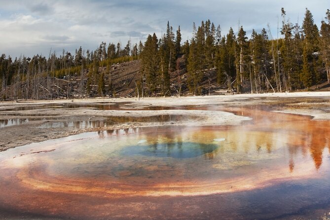 Guided Yellowstone Hot Spring Tour Review - Accessibility and Traveler Limitations