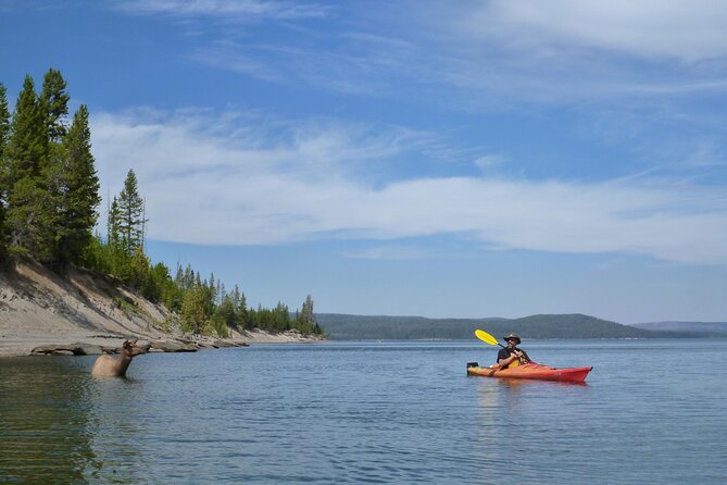 Half Day Paddle on Yellowstone Lake Review - Overall Impressions and Recommendations