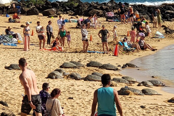 Kauai Island Day Trip From Oahu With Airfare Included - Recap