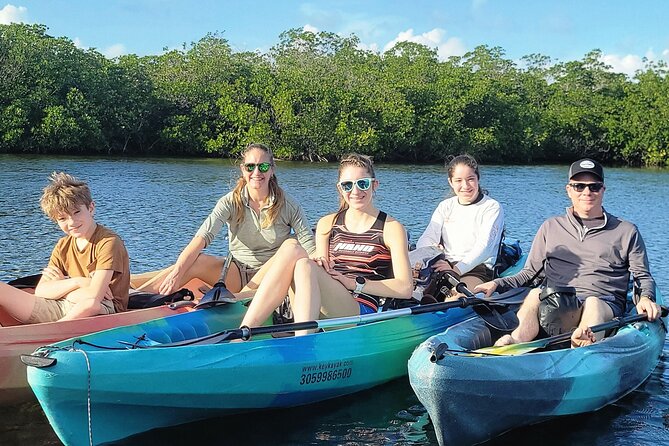 Kayak Through Mangrove Forests Review - Insights From Recent Traveler Reviews