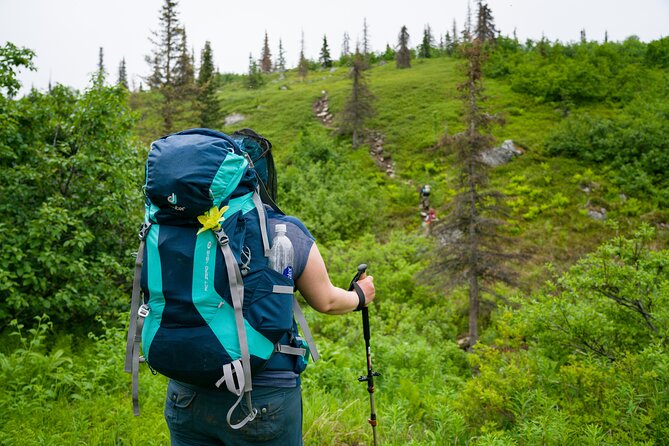 Kesugi Ridge Multiday Backpacking Tour Review - Final Thoughts and Recommendations