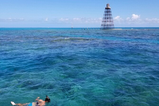 Key West Ragin Cajun Seafood Review - Insights From Recent Traveler Reviews