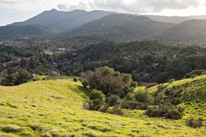 Muir Woods Self-Guided Driving and Walking Audio Tour - Recap