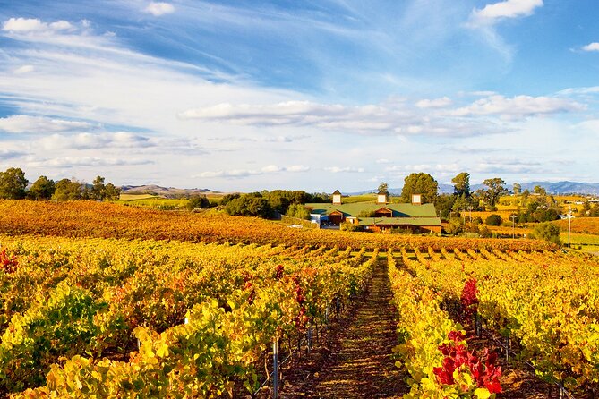 Muir Woods With Napa & Sonoma Wine Tour + Alcatraz & Aquarium Access - Additional Information