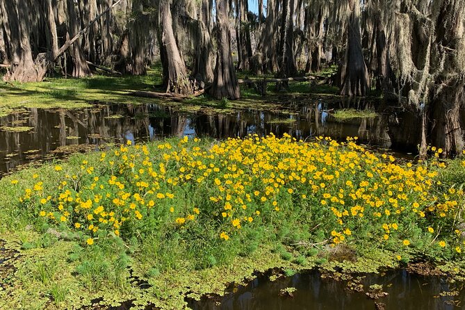 Mystical Private Kayak and Canoe Tours on Caddo Lake - Booking and Confirmation